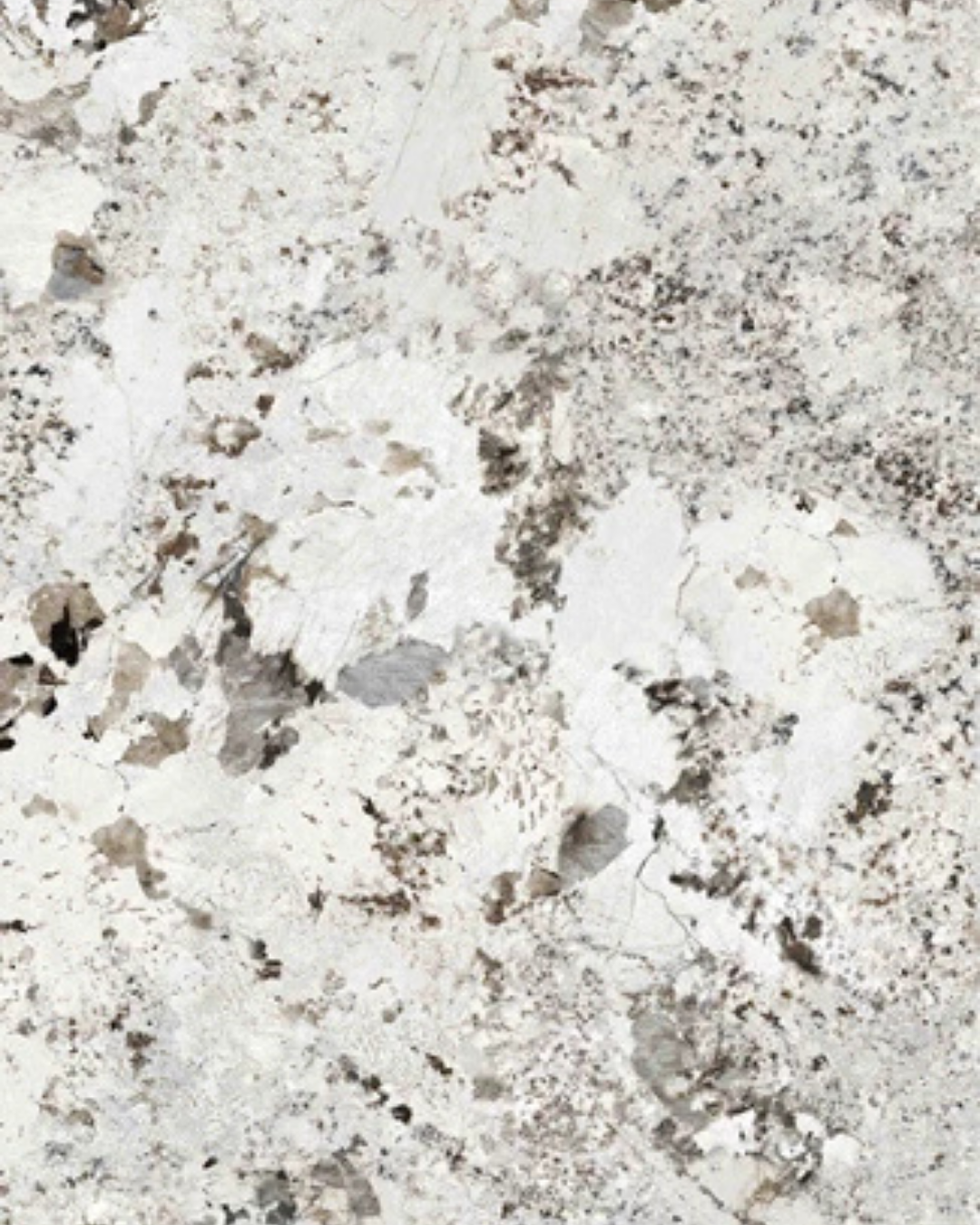 ALASKA WHITE